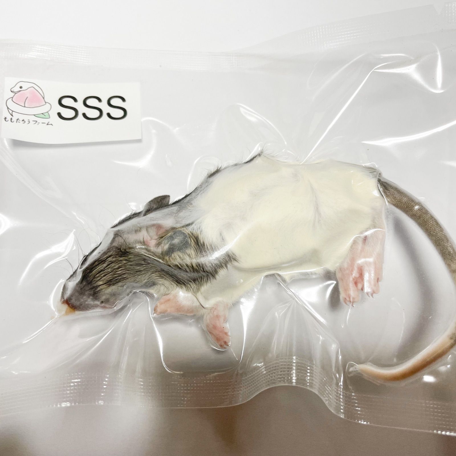 冷凍ラット 30匹セット 40g〜60g