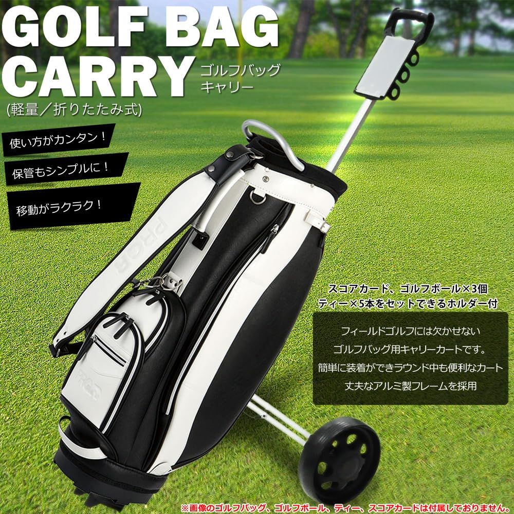 SRIXON Golfickers ラウンドポーチ　コラボ　ボールケース　バッグ SRIXON Golfickers ラウンドポーチ コラボ ボールケース バッグ