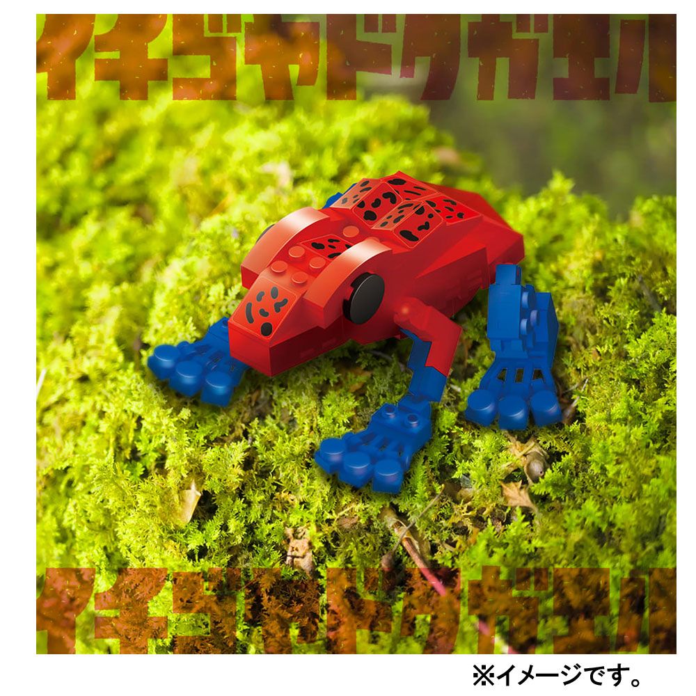 イチゴヤドクガエル