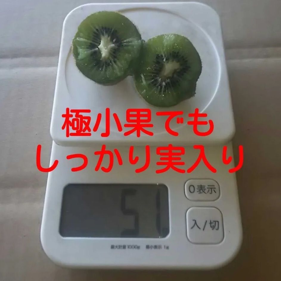 １４kg入り!!