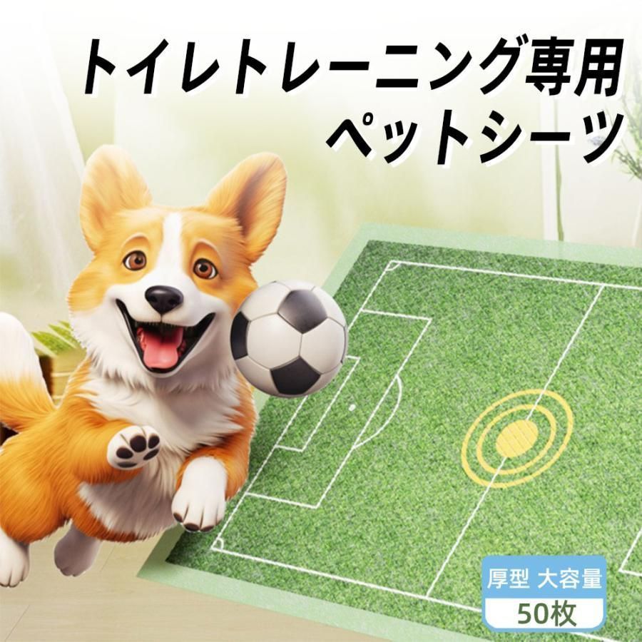 インド？ 春画 シミ・シワ小傷おおいです。イタミおおいです。