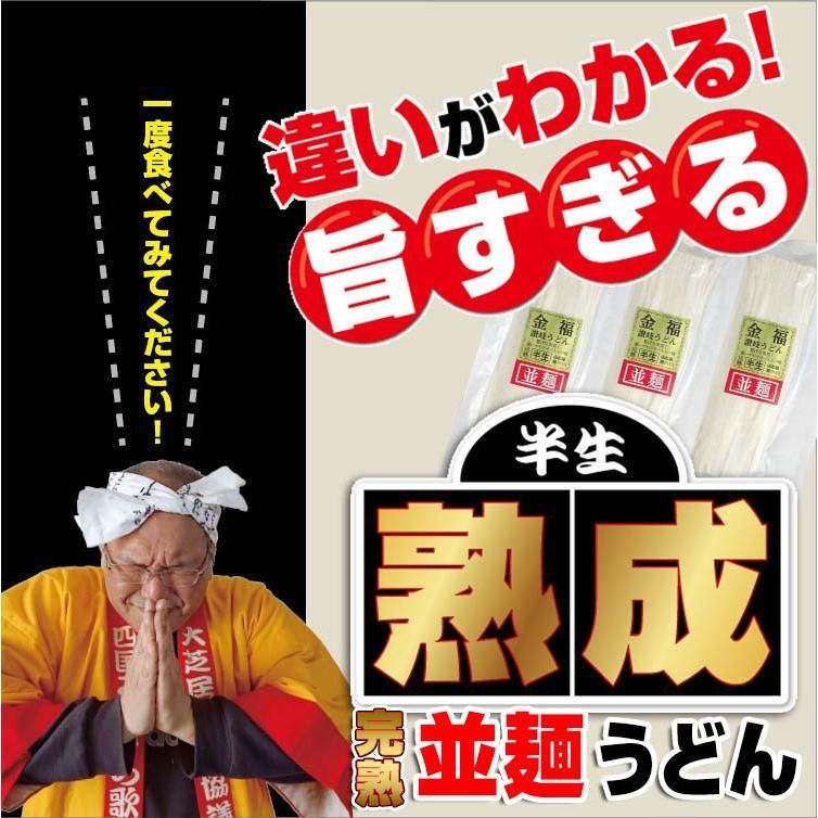 20時間熟成 半生 並麺 讃岐うどん つゆ付きセット 便利な個包装 750g 送料無料　A36