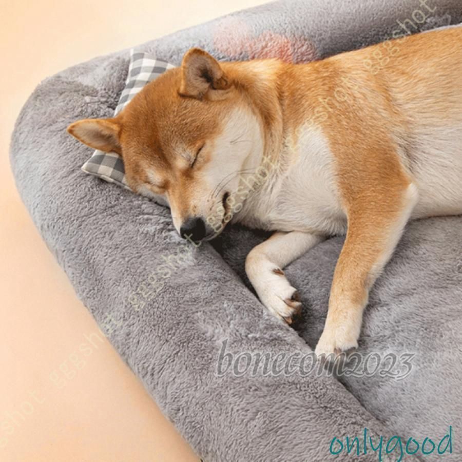 丈夫