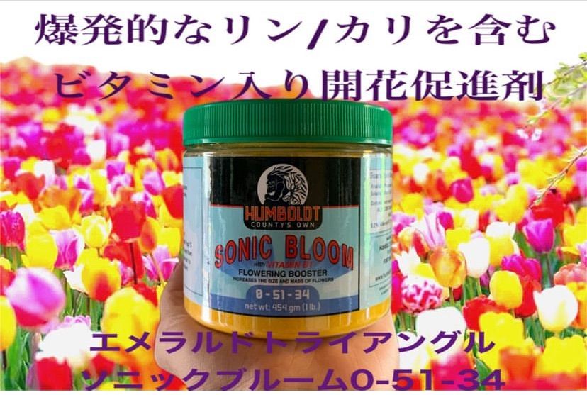 開花促進剤 園芸用品 室内栽培 水耕栽培 EmeraldTriangle Sonic Bloom 435g 0-51-34