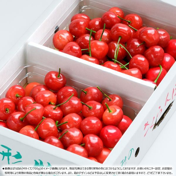 【出荷間近/6月上旬(6月7日)頃～出荷】 2025 父の日 プレゼント 山形県産 さくらんぼ 佐藤錦 700g (秀品/Mサイズ/化粧箱入り) サクランボ さとうにしき ギフト 贈り物 お祝い 内祝い ご家庭用 山形県 山形県直送 グルメ お取り寄せ