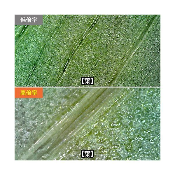 200万画素 フルHD対応
