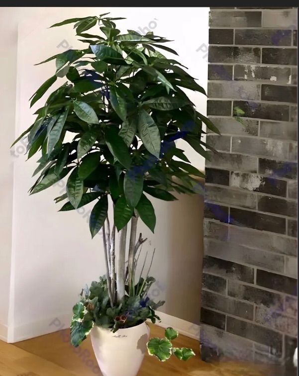 光触媒 人工観葉植物 ウォールグリーン フェイクグリーン パキラポット