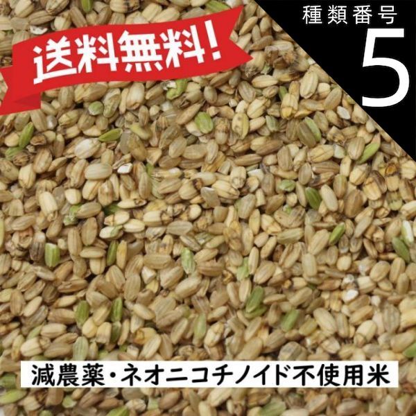 10kg 無農薬小米 鳥のエサ 鳥餌 小動物 砕米10kg×2（20キロ）