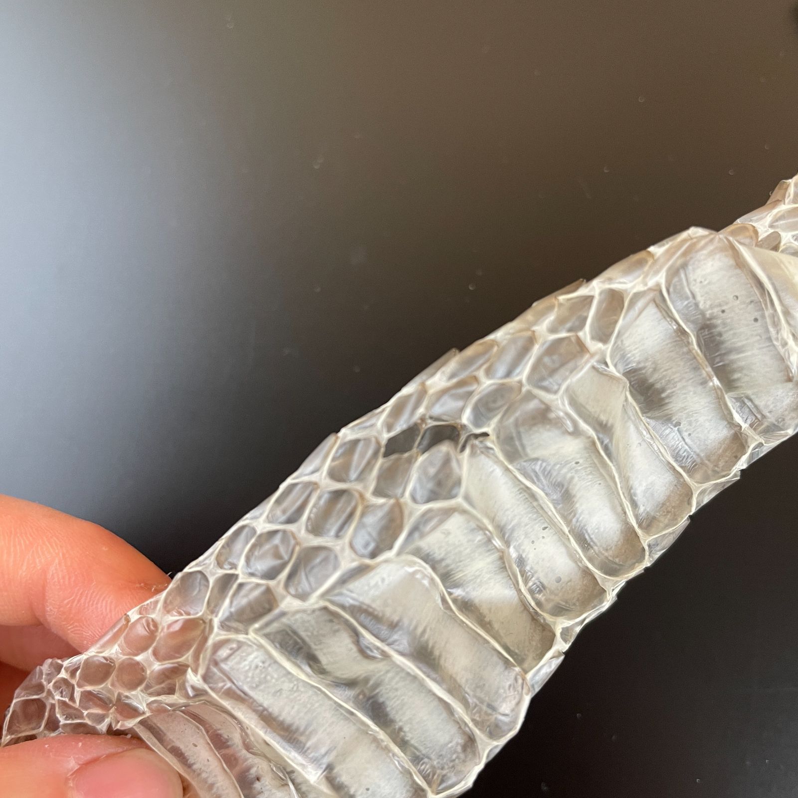 蛇の抜け殻 約150cm ヘビの抜け殻 - メルカリ