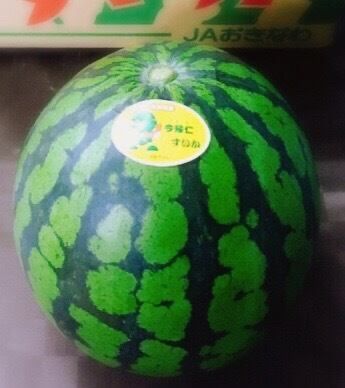 ギフトにも！沖縄ブランド！今帰仁なきじんスイカJAおきなわ秀品2L× 2玉 楽天市場】スイカ JAおきなわ 沖縄産 今帰仁すいか なきじん 1玉