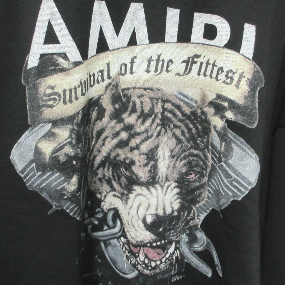 美品 AMIRI アミリ 19AW グラフィック ピットブル プルオーバー 