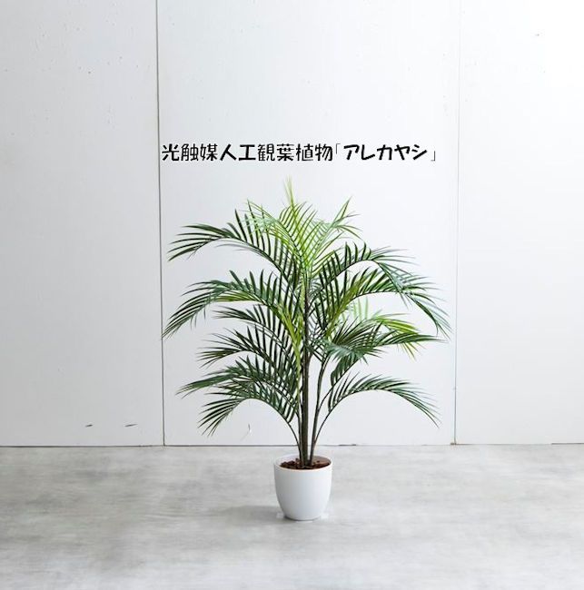 光触媒 人工観葉植物 ウォールグリーン 特大ベルベットポイン