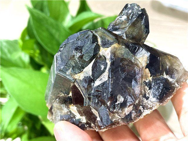 AAA級【魔除け】高透明度天然モリオン黒水晶クラスターB82C6/127C09D AAA級【魔除け】高透明度天然モリオン黒水晶クラスターB82C6/127C09D