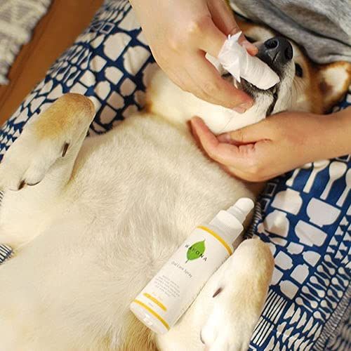 のサムネイル