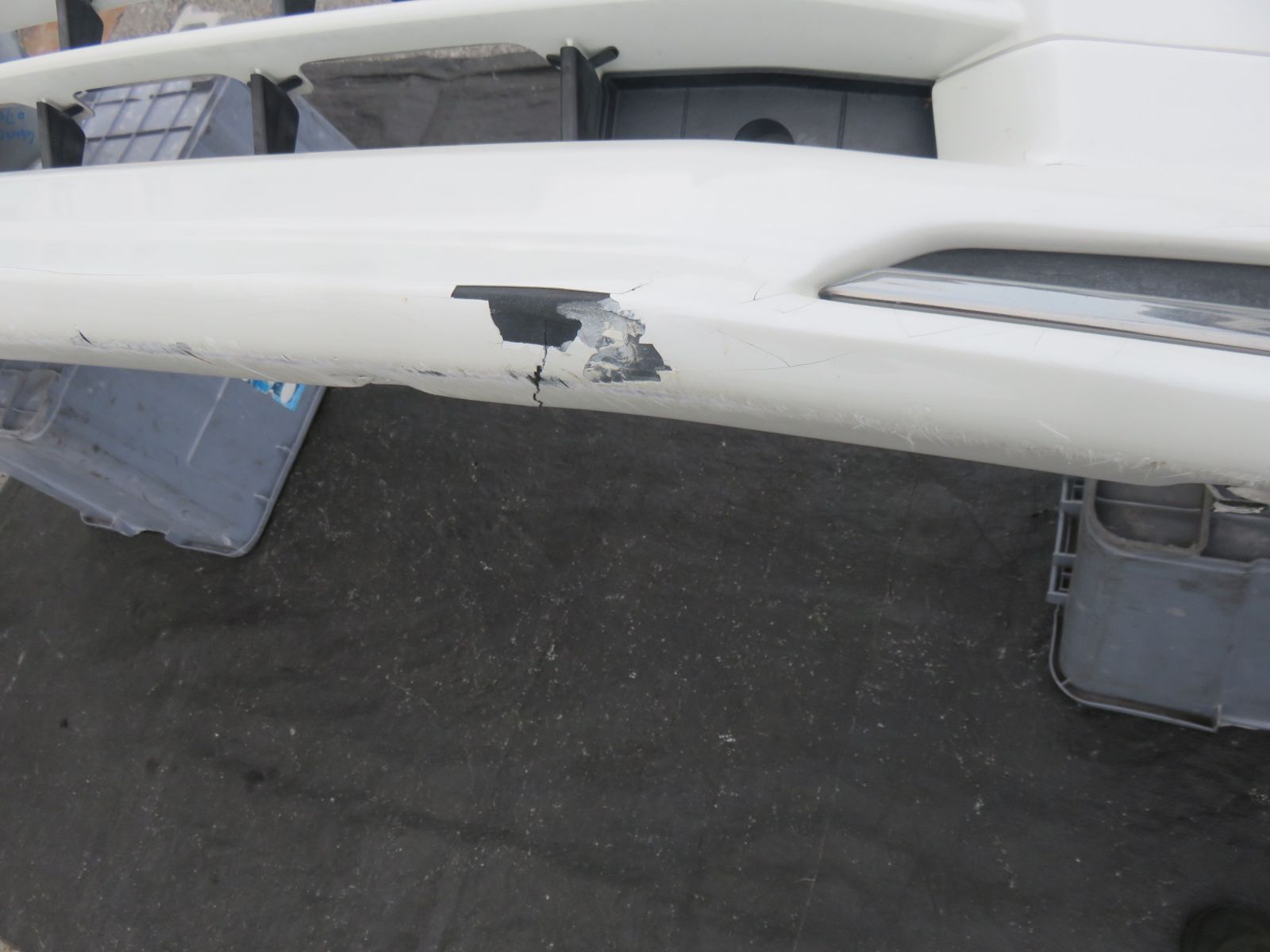 人気モデリスタ