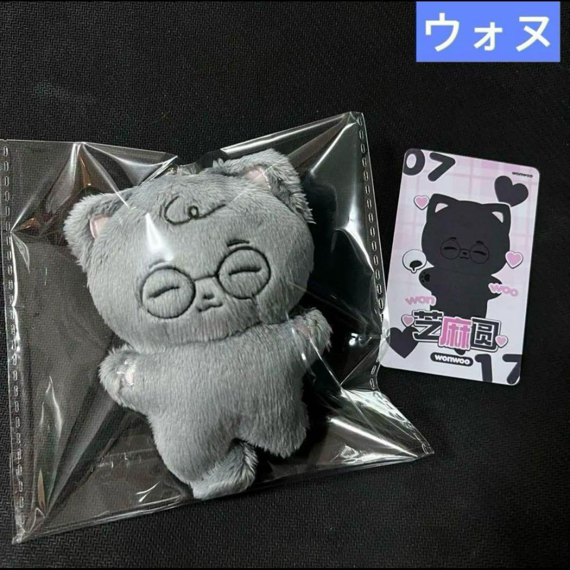 ウォヌ ぬいぐるみ 10cm 新品 マスター セブチ seventeen - メルカリ