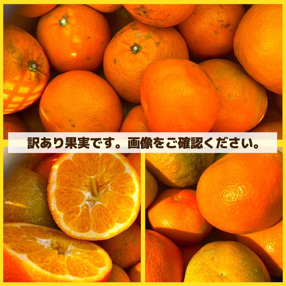のサムネイル