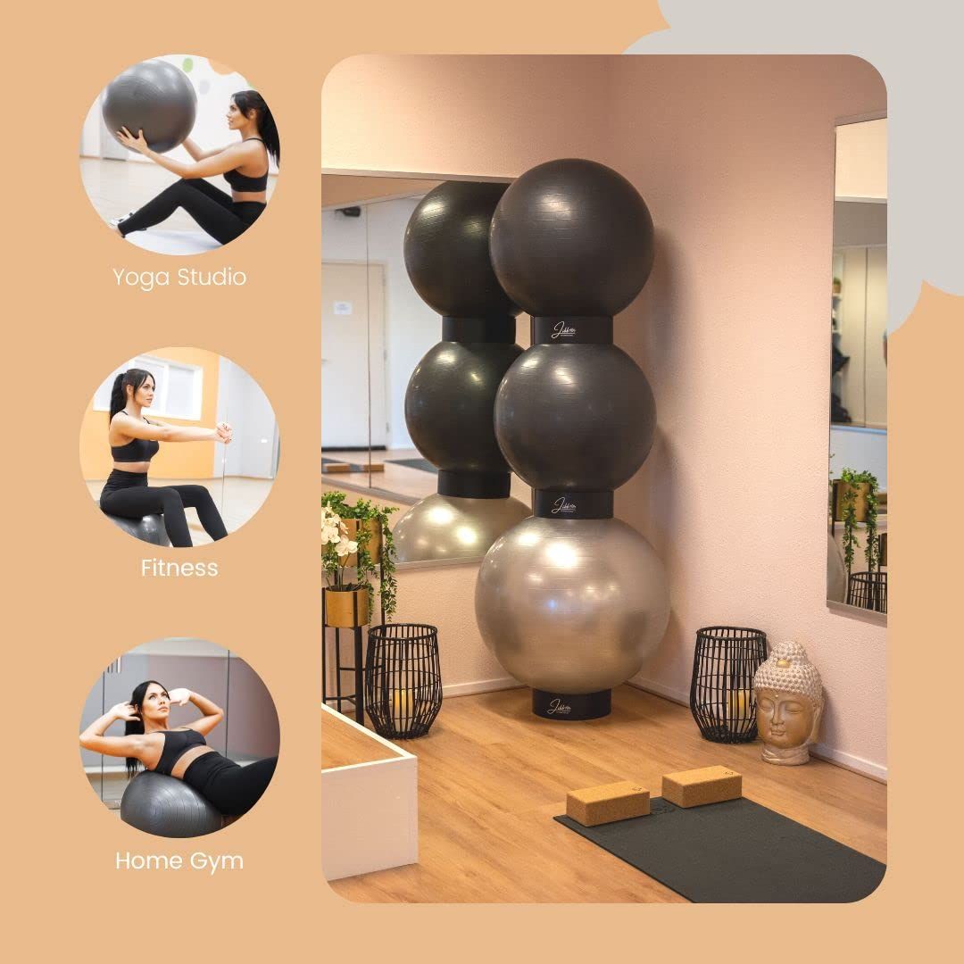 フィジオボールスタンド