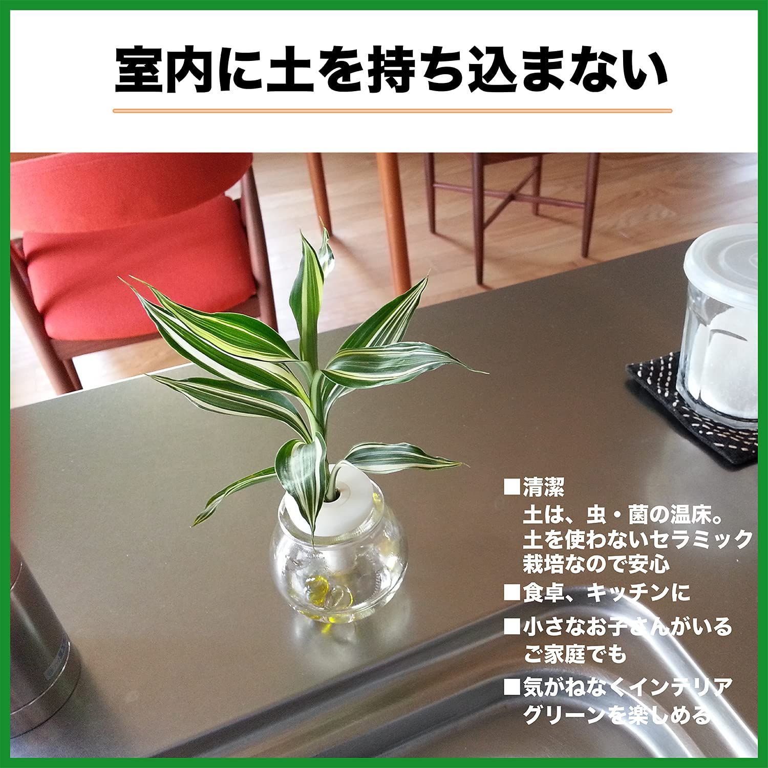 土なし 清潔