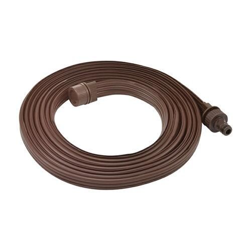 クサントロエア　プレイシー　1苗 鉢のまま発送 クサントロエア プレイシー 1苗 鉢のまま発送 クサントロエア プレイ