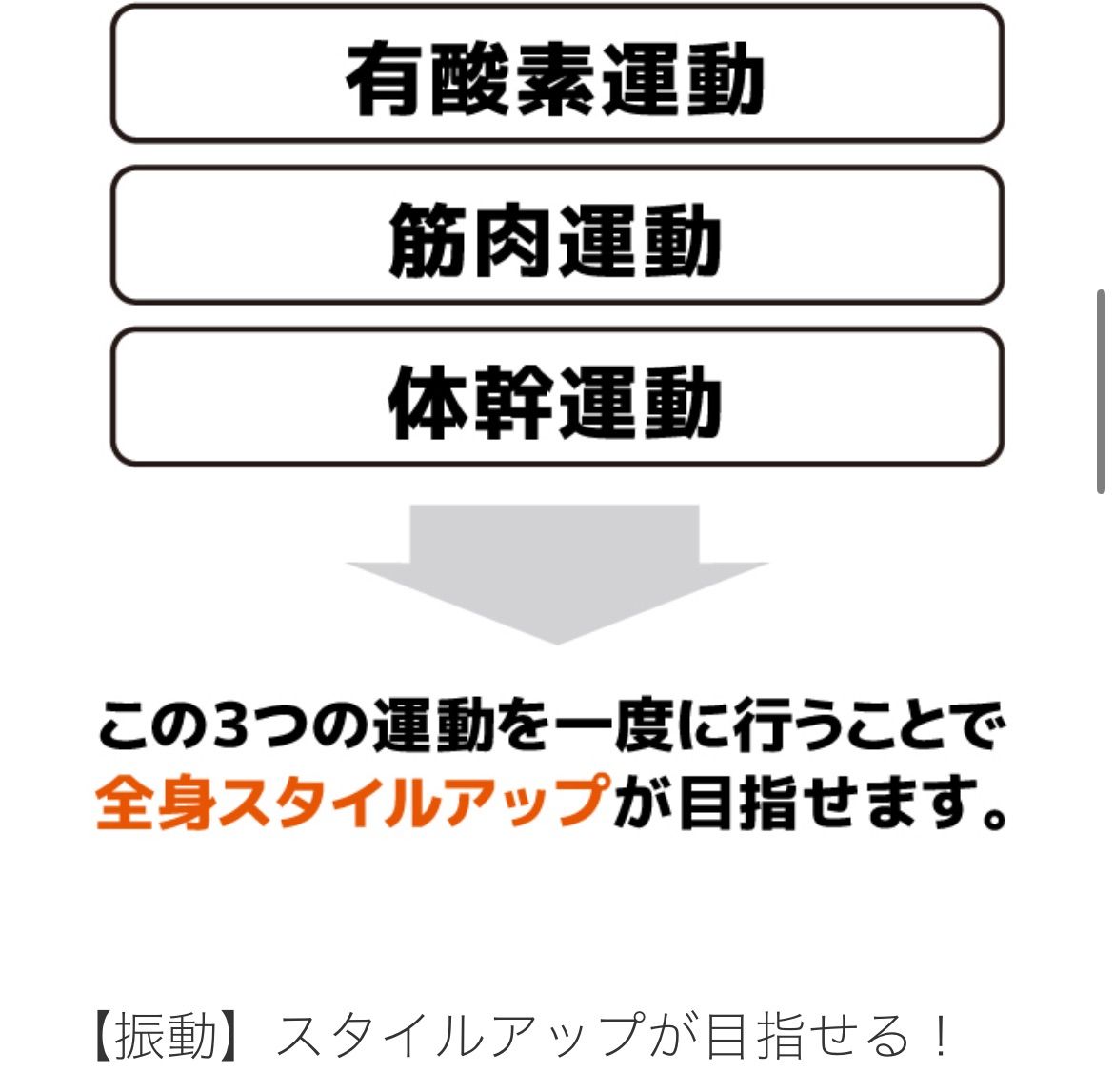 トレーニング EMS