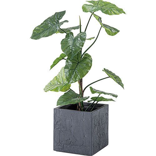 東谷 グリーンベース ダークグレー GRNB-209