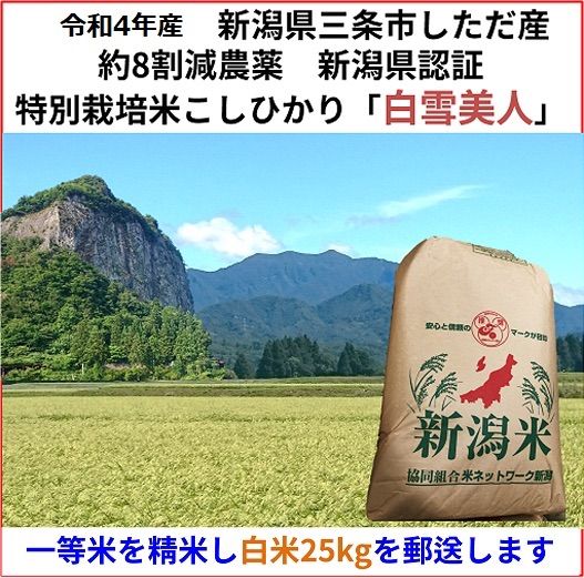 残り33袋 減農薬 新潟こしひかり白米25kg 新潟県三条市旧しただ村産 減