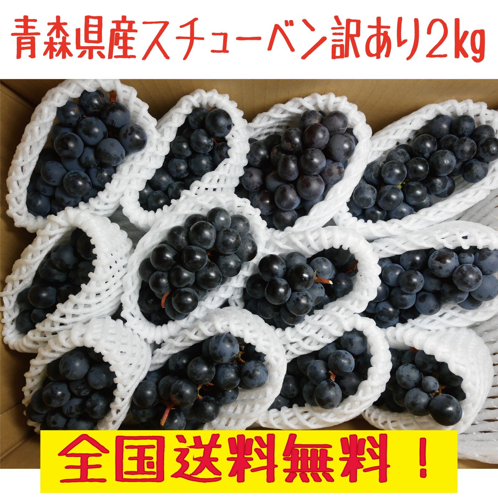 青森県産スチューベンぶどう  訳あり　２ｋｇ　送料無料