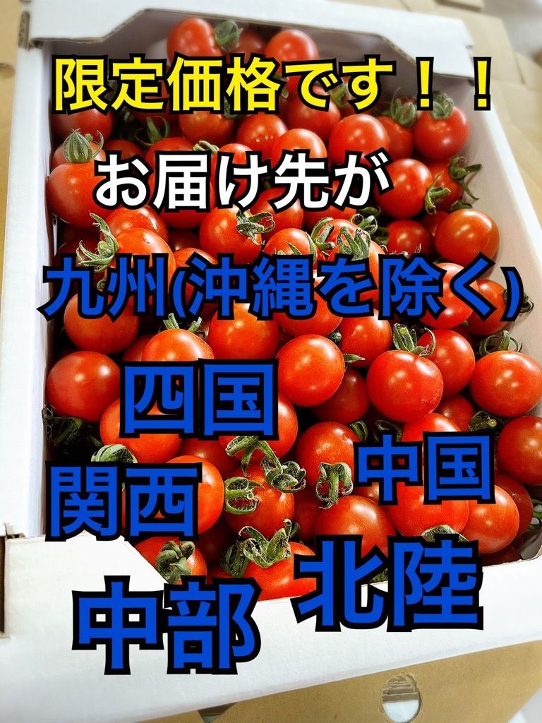 お届け先限定！熊本県産ミニトマト千果４ｋｇ限定価格！送料込み！-0
