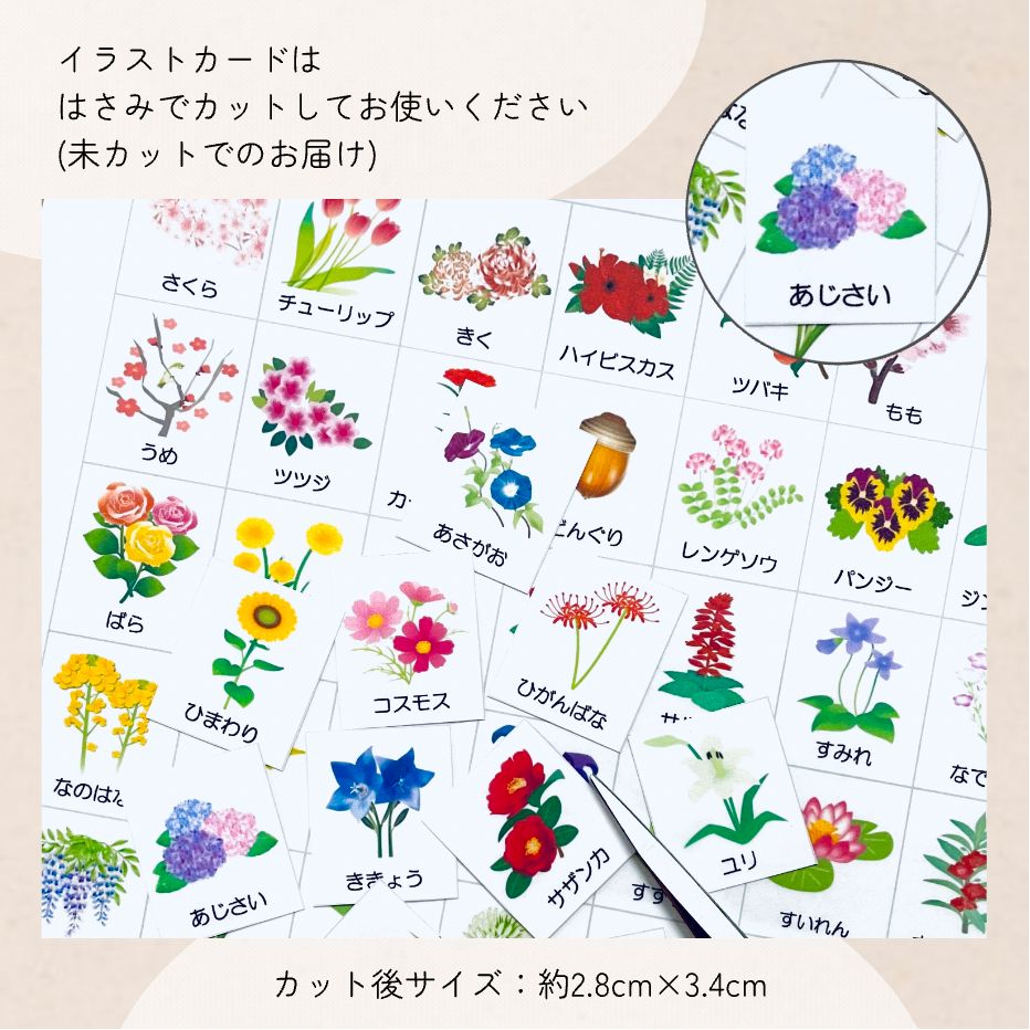 季節の花 小学校受験教材 理科的常識 幼児教育 知育 きせつ