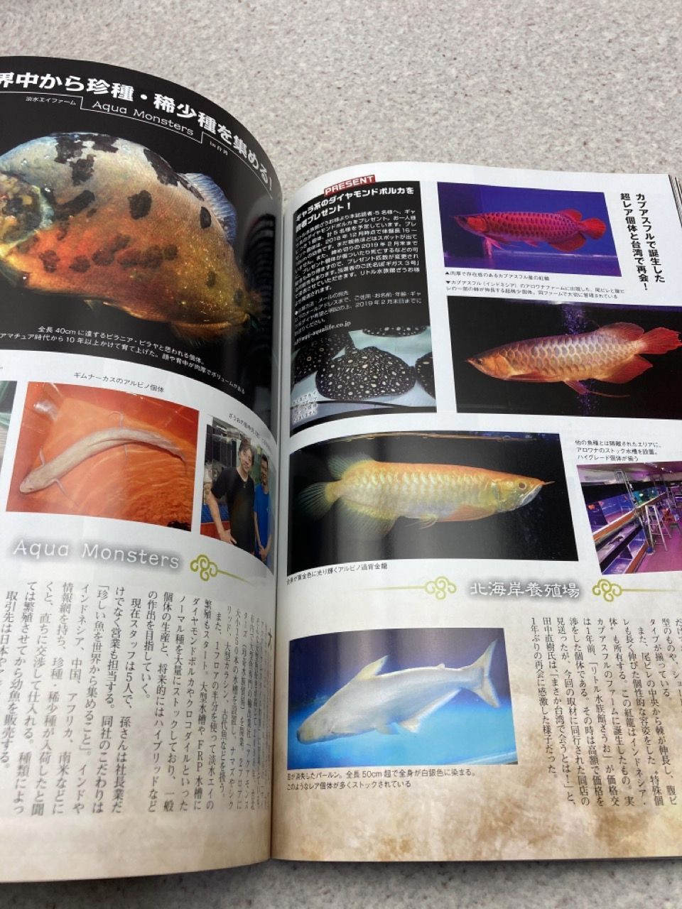 GIGAS ギガス　怪魚飼育マガジン　2019　vol.2 月刊アクアライフ　2019年1月号　増刊