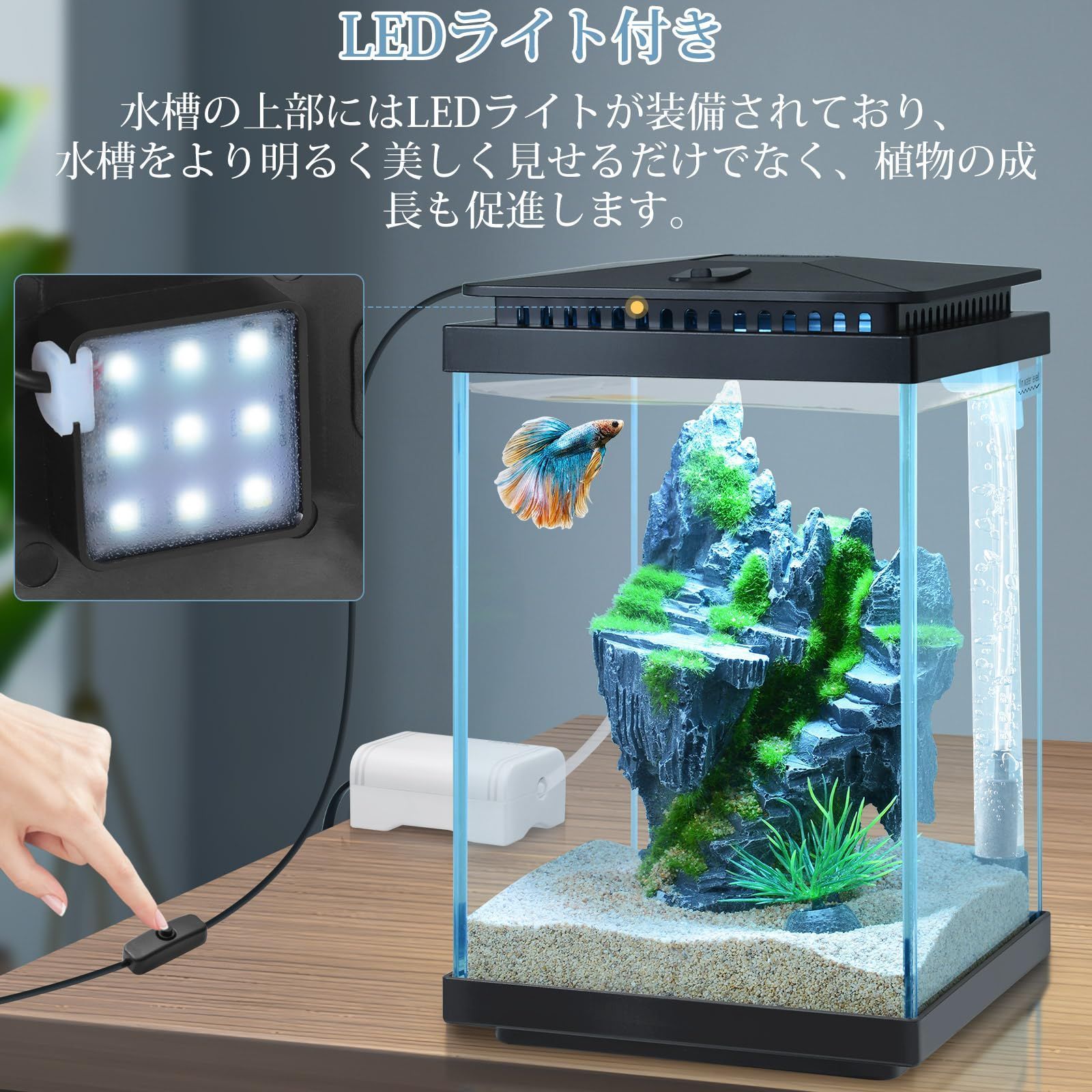 5L小型ガラス水槽、静かな透明アクアリウム、LEDライト/ぶくぶく水