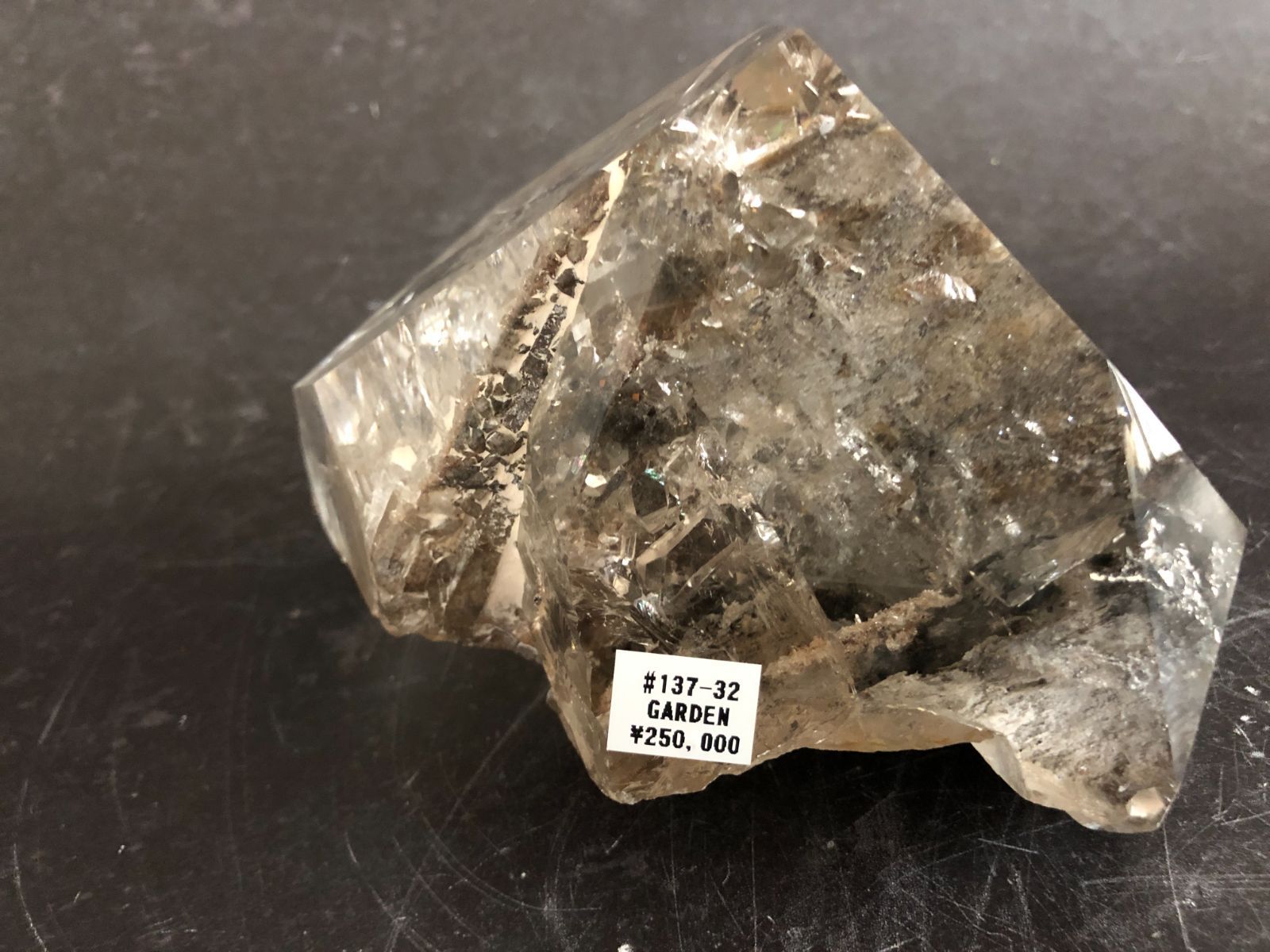 ガーデンルチルポイント ブラジル産