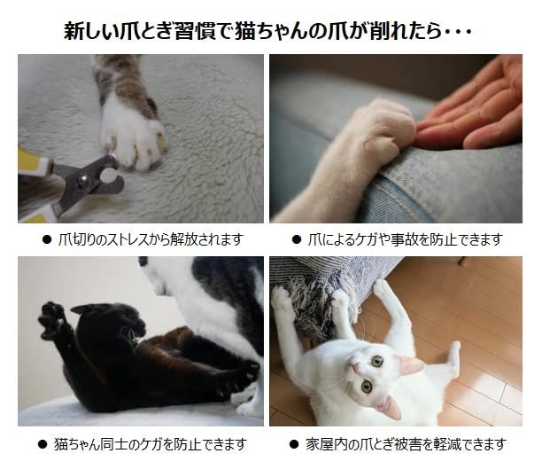 ネコ 爪研ぎ つめとぎ ねこ ビビニャン 負担軽減 ダンボール ストレス解消 ヤスリ 両面使用可 4枚入 日本製 猫 爪切り不要の爪とぎボード Nyan bibi