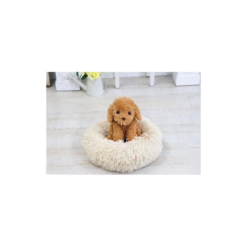おしゃべりトイプードル しゃべる犬 音声認識ぬいぐるみ 大人向け かわいい おしゃべりトイプードル しゃべる ぬいぐるみ 犬 音声認識人形