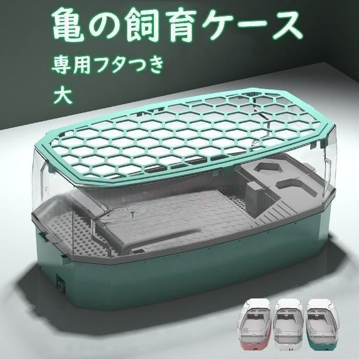 【外国産オサムシ標本】イボカブリモドキ/湖北省.恩施産/48mm 外国産オサムシ標本】イボカブリモドキ/湖北省.恩施産/41.2mm