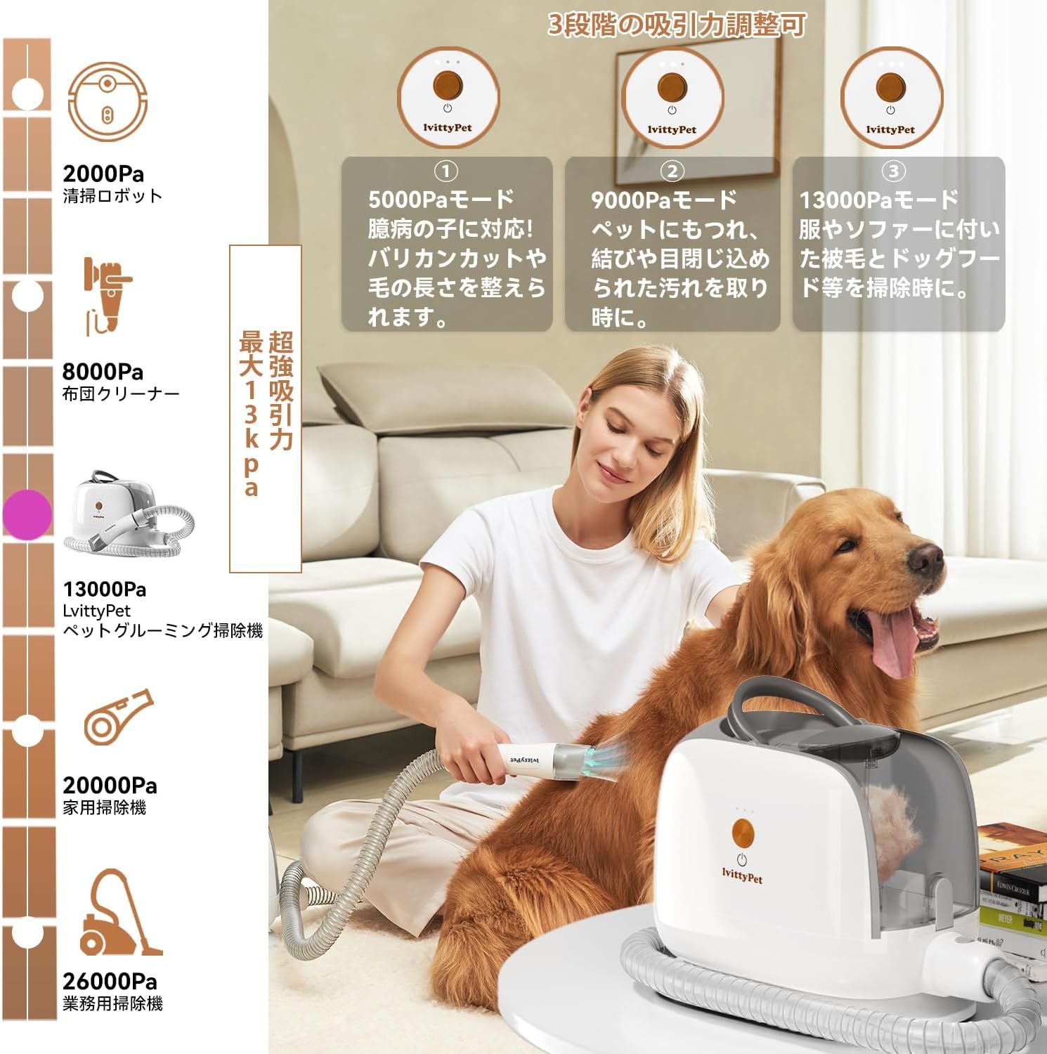 13kPa 犬用