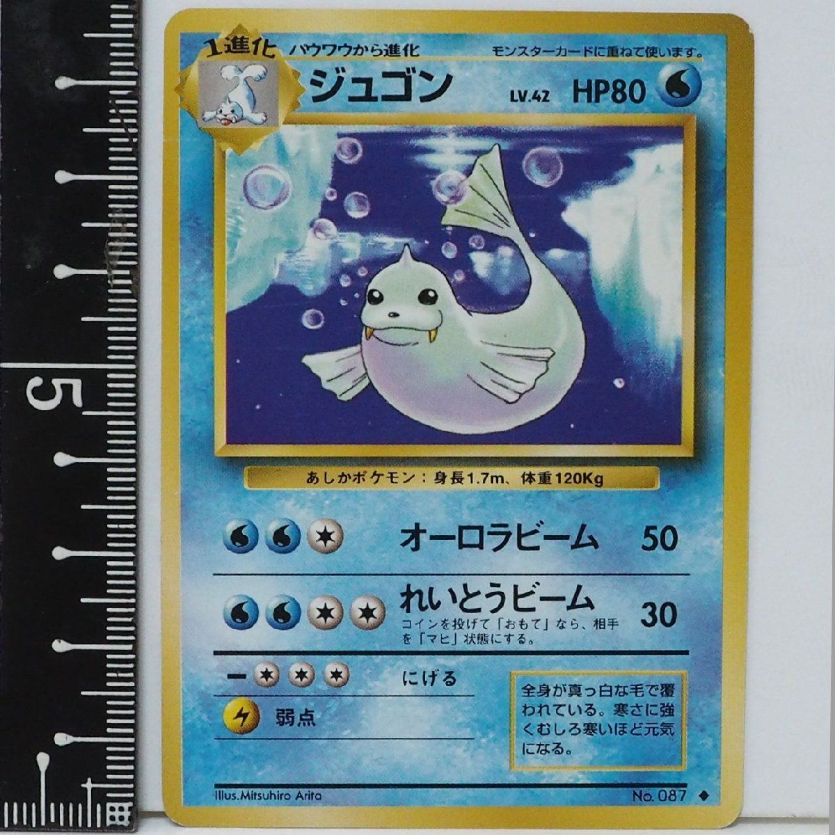旧裏ポケモン カードゲーム 第1弾【1進化 ジュゴン LV.42 HP80】水No
