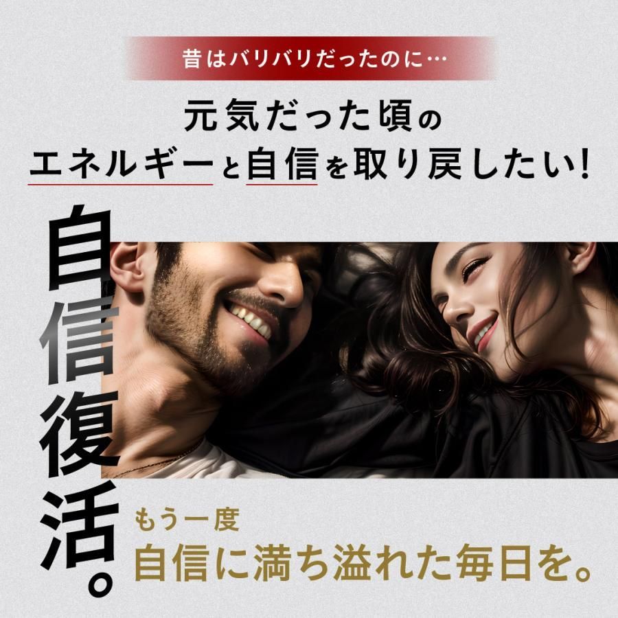SUPPLEMENT 90粒入