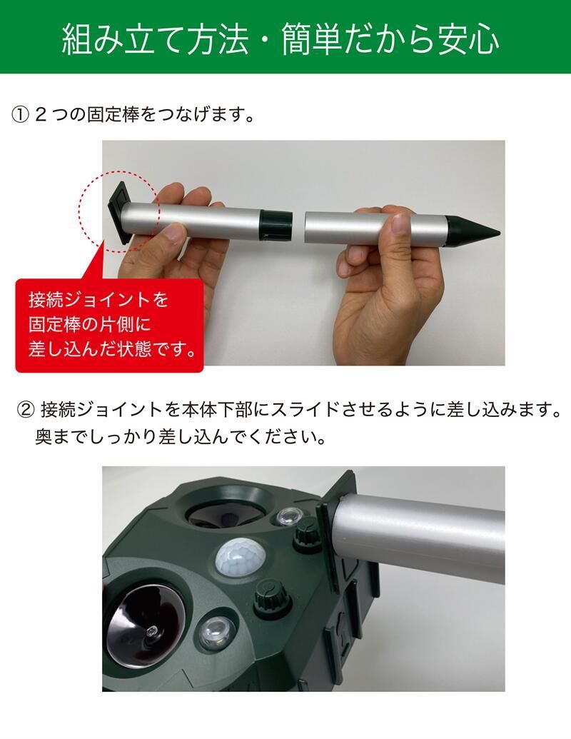超音波と強力フラッシュライト ネコ