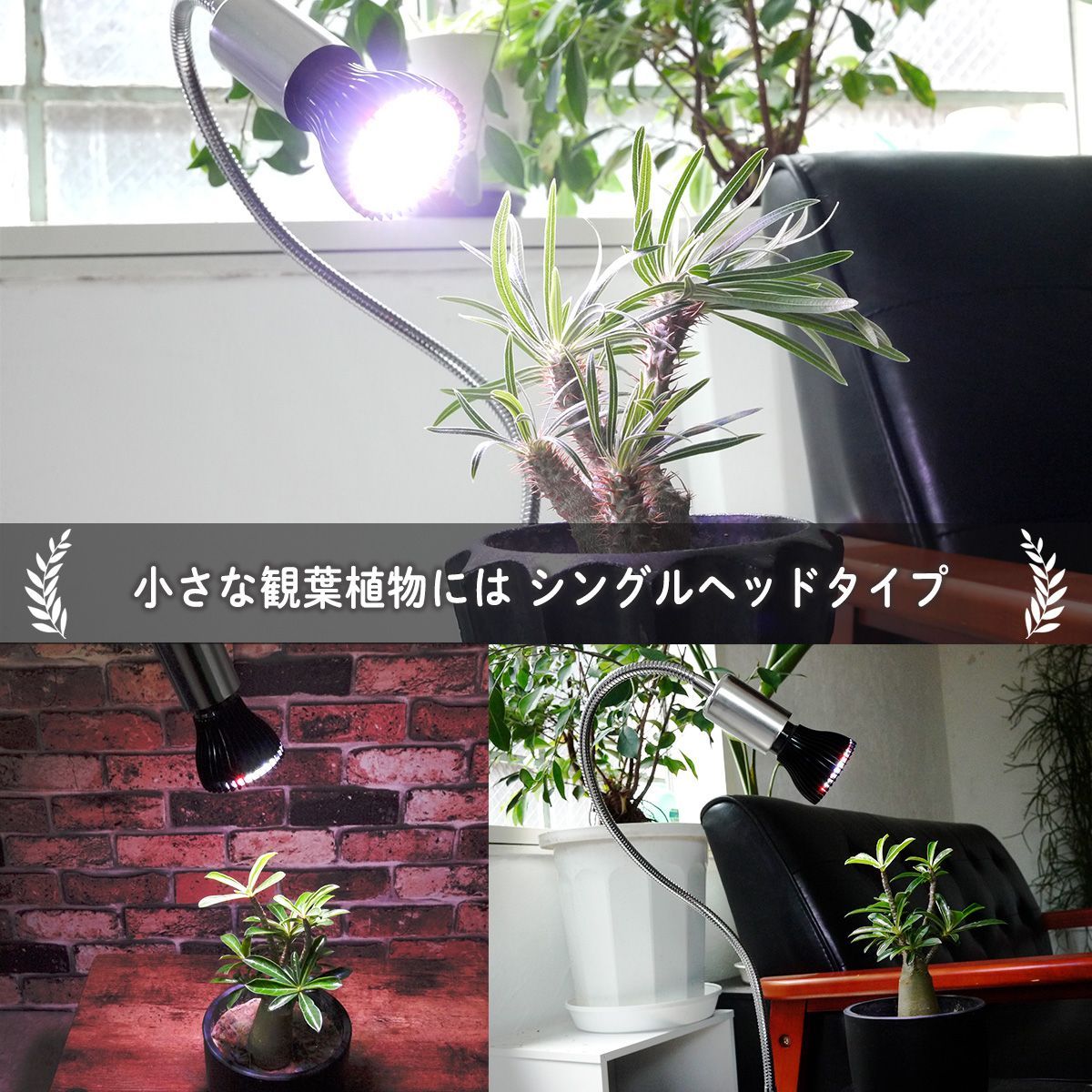 z-planr01】植物育成ライト led e26 ライト 育成 スタンド 育成