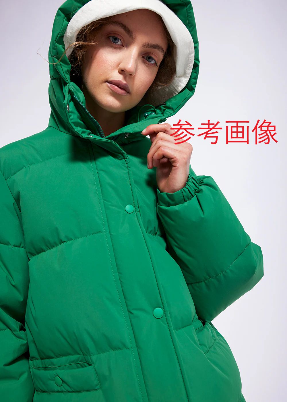 ROSEANNA ✖️ PYRENEX コラボ　ダウン　新品 ROSEANNA/ローズアンナ】PYRENEXコラボダウン | ジャーナル