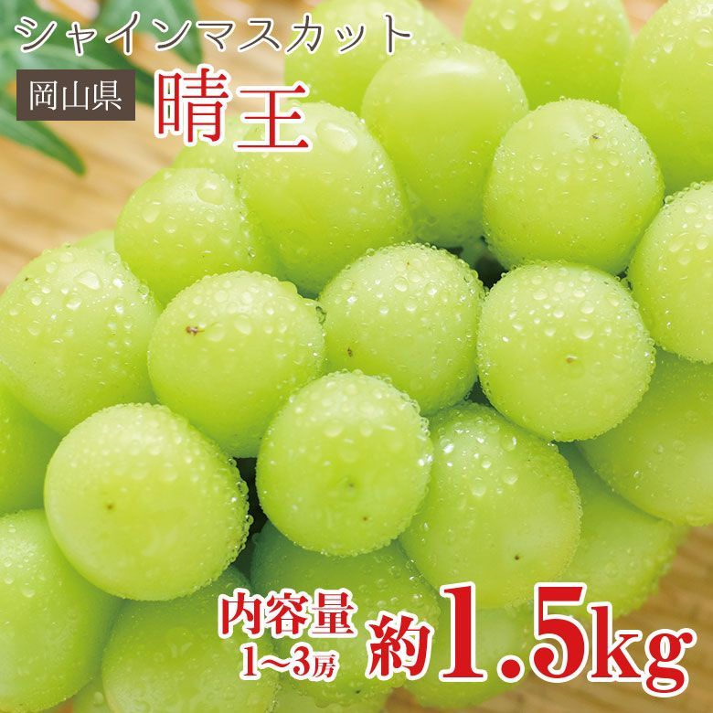 【8月下旬発送】 送料無料 シャインマスカット 晴王 岡山県 シャンマスカット 約 1.5kg 1～3房 岡山 岡山県産 ご家庭用 マスカット ぶどう ギフト お中元 暑中見舞い 訳あり 敬老の日 ギフト プレゼント