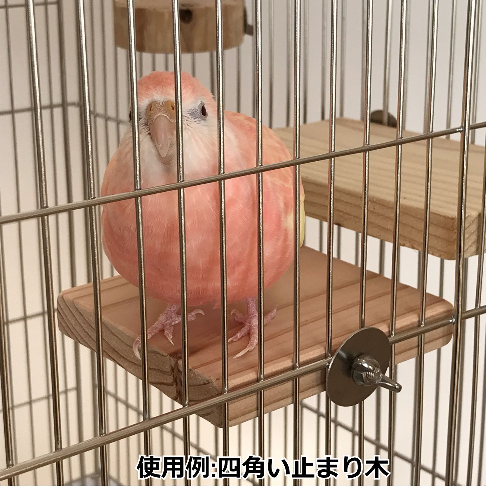 長方形止まり木+四角い止まり木 インコ・小動物用ステップ - 止まり木