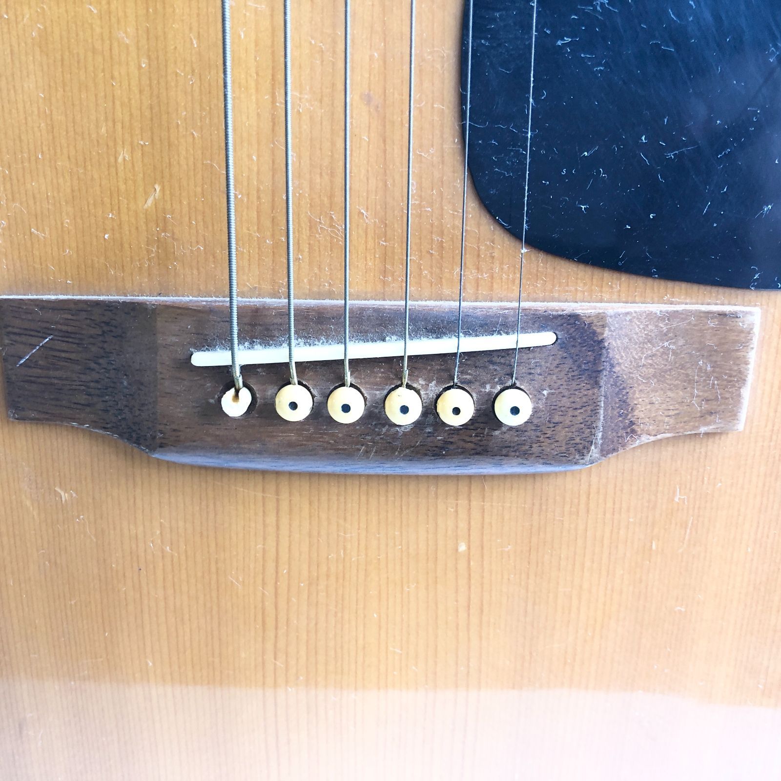 モーリスMorris MD-502 アコースティックギター良く鳴る Morris MD-502 Acoustic Guitar（中古/送料無料）【楽器検索