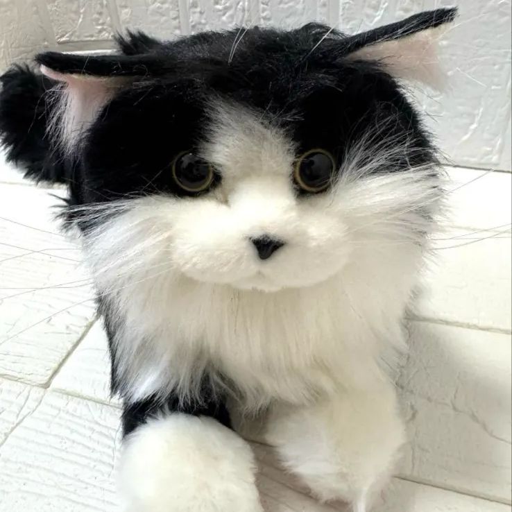 Chongker 猫ぬいぐるみ リアル 本物そっくり ハンドメイド - メルカリ