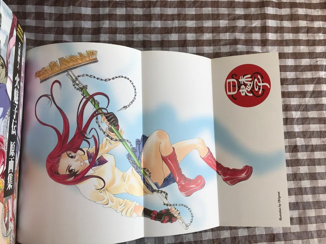 公式ガイドブック 公式ファンブック