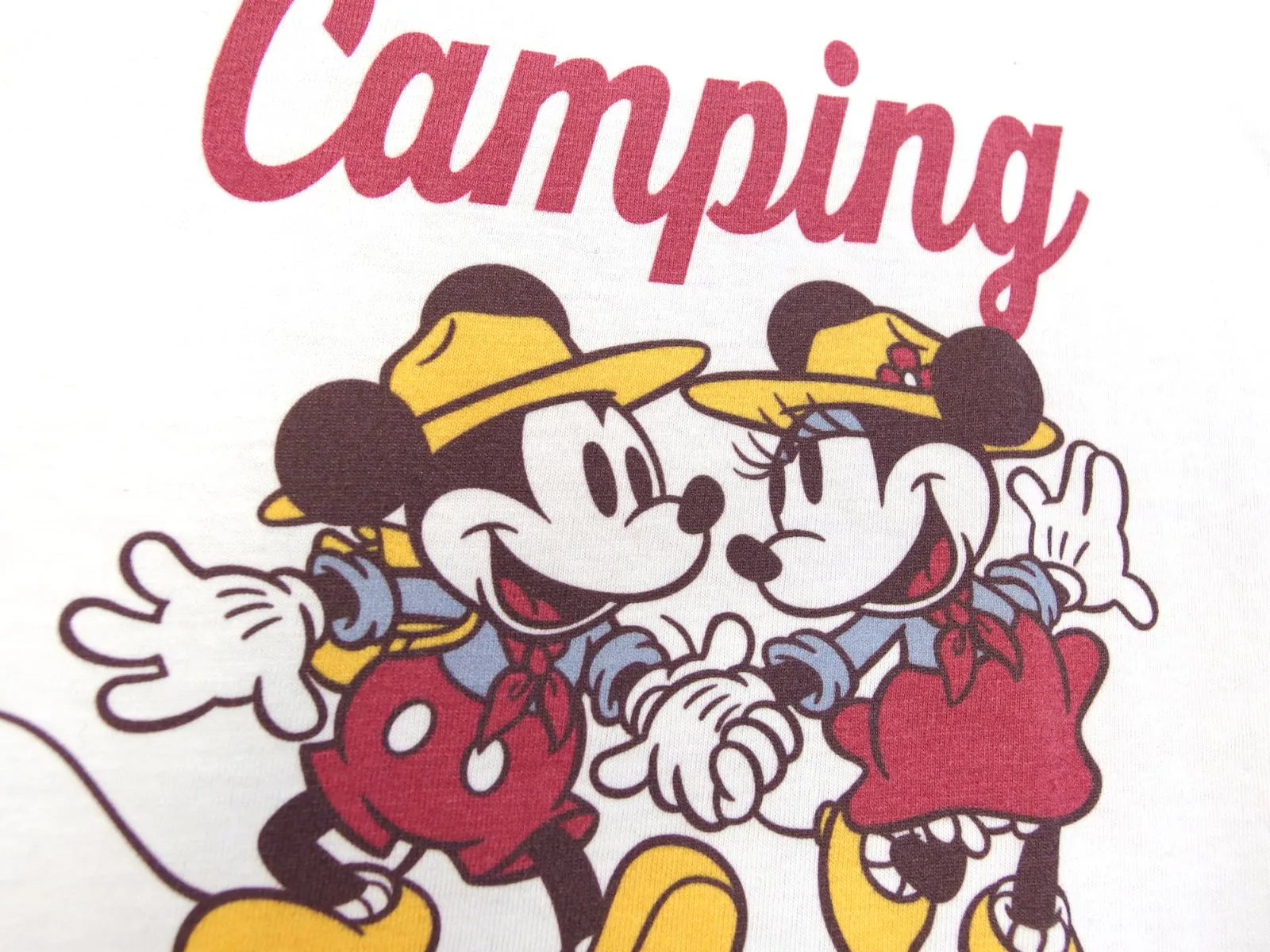 D001 Mickey ミッキーマウス Minnie ミニーマウス キャンプ ハイキング ...