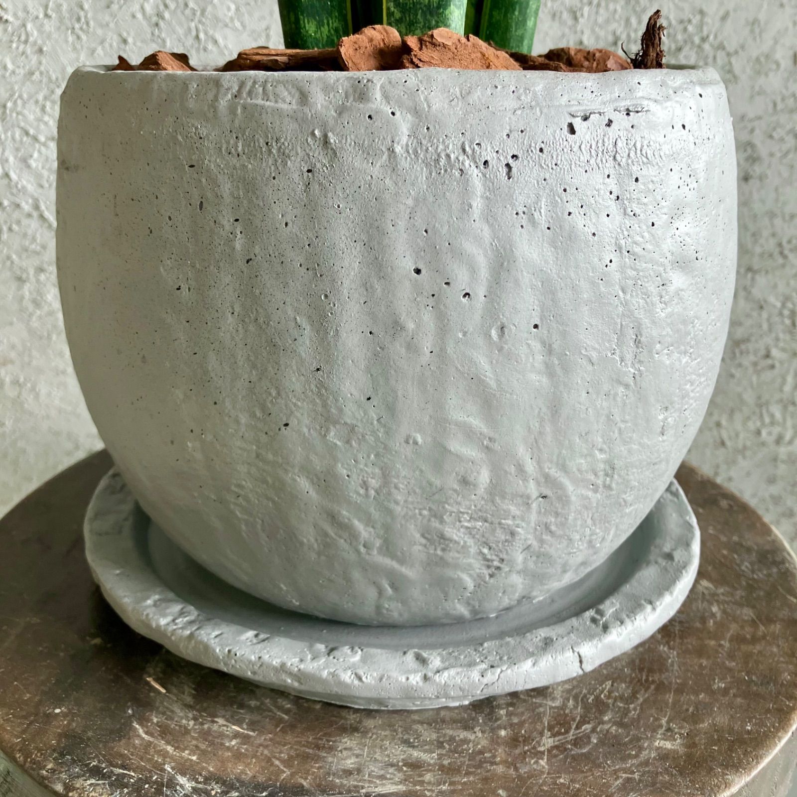 テラコッタ鉢植え