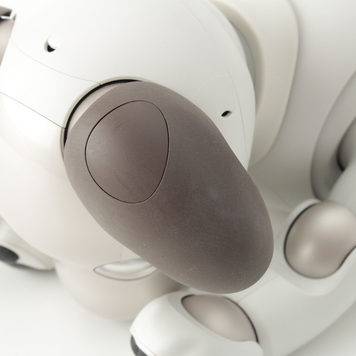 aibo 犬